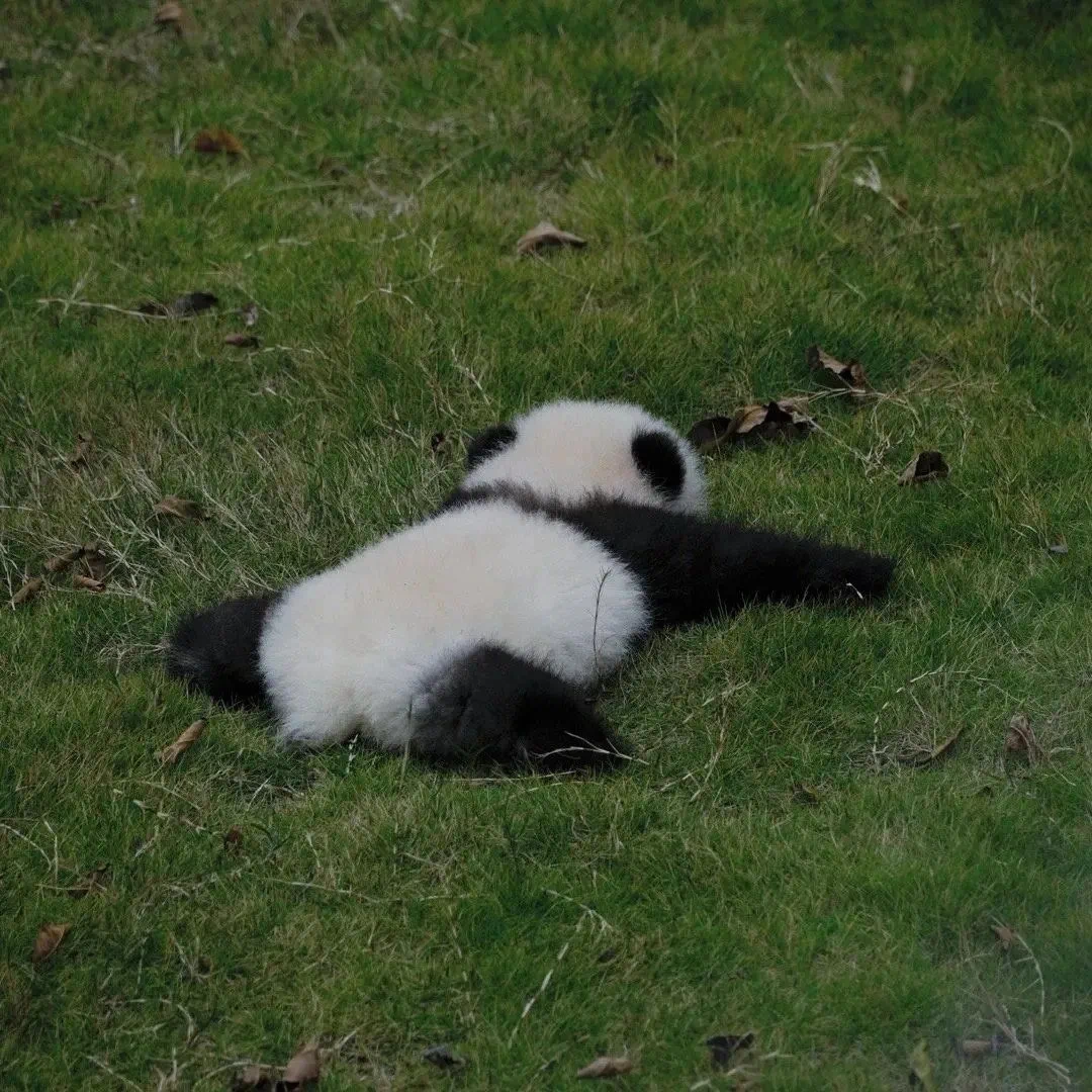 这段荒诞的感情经历总结